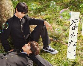 山西做seo优化多少钱